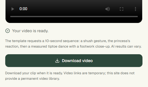 Maker screenshot showing Your video is ready and the enabled Download video button in a sample completion state